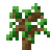 Oak Sapling.png