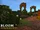 Bloom (SkyWars)