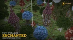 Enchanted (TNT Wizards)