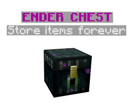 6: Ender Chest Exploration