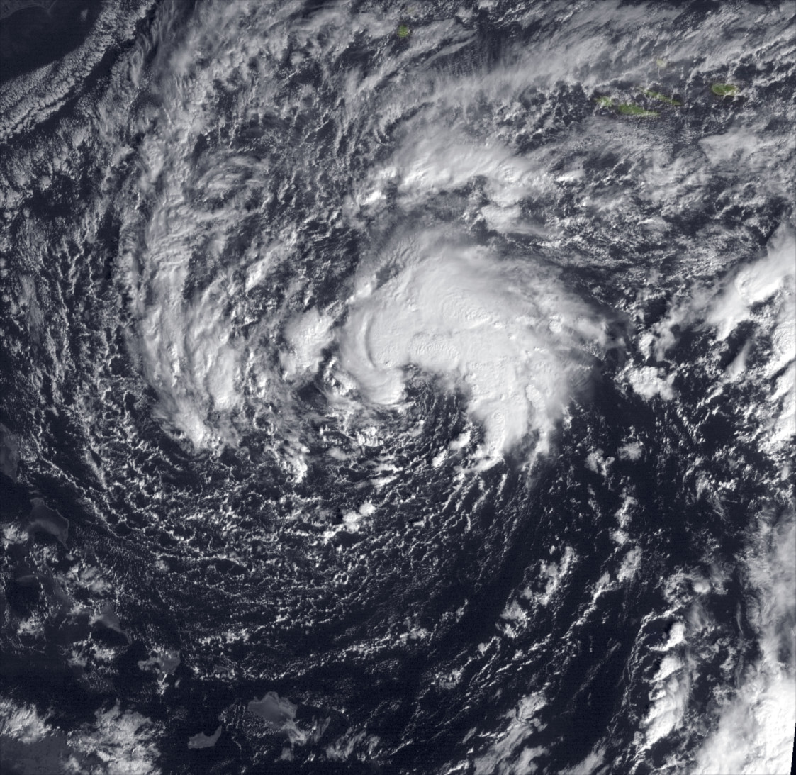 2024 Atlantic Hurricane Season Doug Hypothetical Events Wiki Fandom   Latest