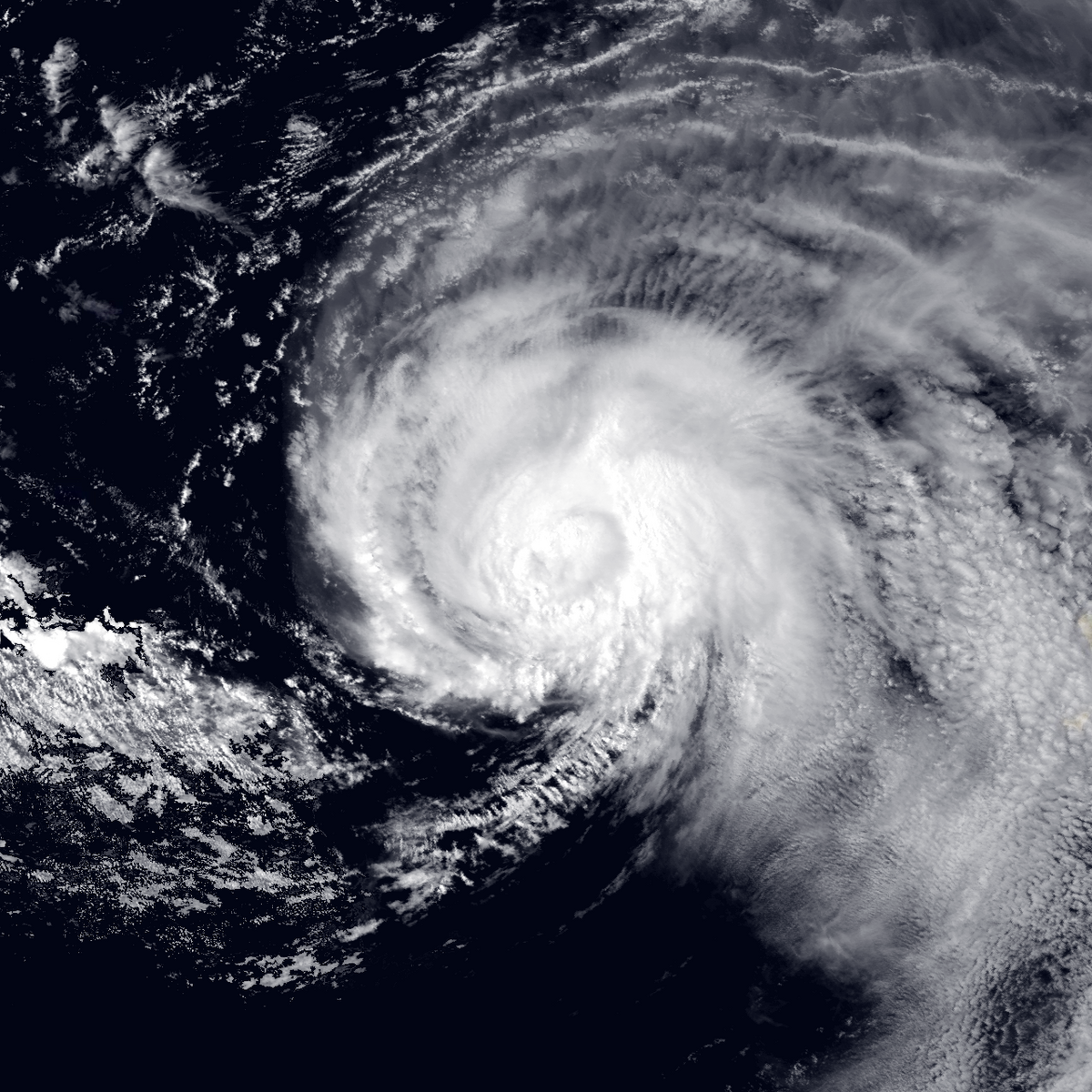 Hurricane William (2018) Hypothetical Severe Weather Wiki Fandom