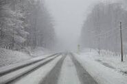 Snow Covered Road