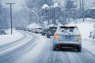 Eastern Seattle had received a Surprising 5 and a Half inches of Snow