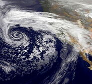 Harland off of the West Coast on February 24th, More Resembling a Subtropical Cyclone