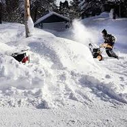Texas Winter 2022