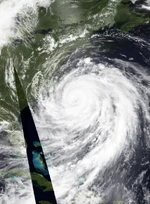 Hayden 2020 Doglantic