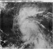 Tropical Storm Bret-1993