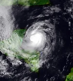 Nestor MC 2020-CycloneMC