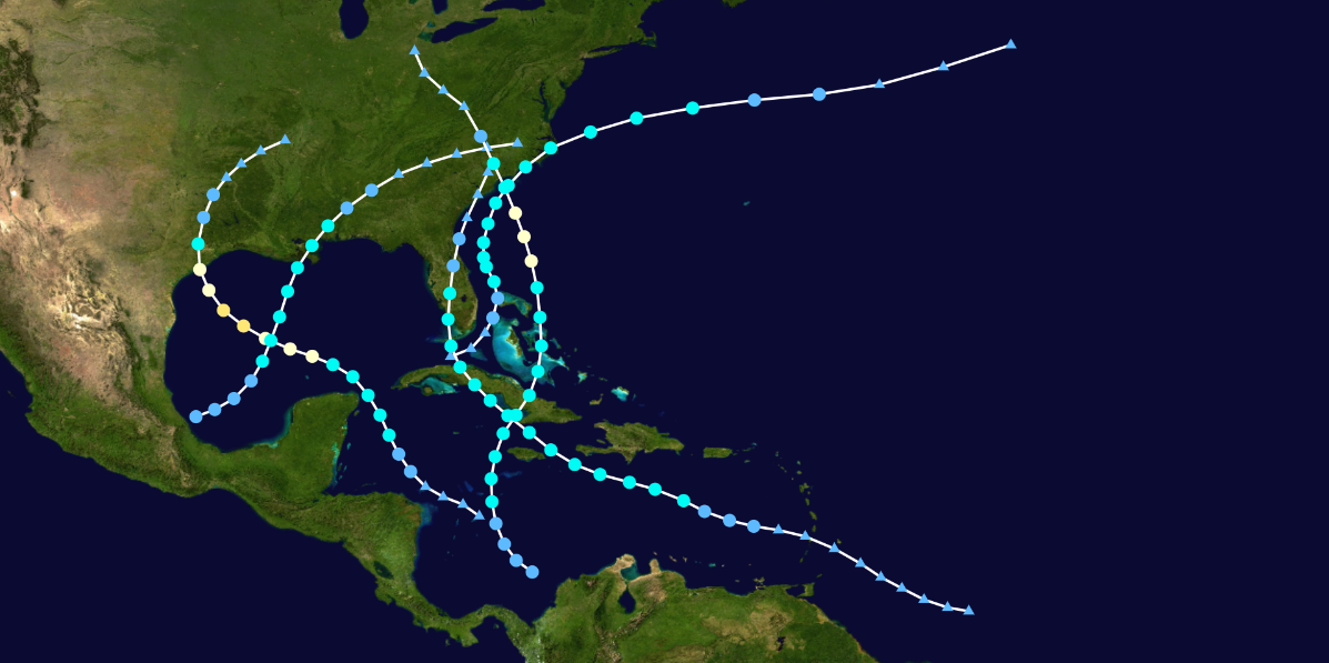 Hurricane Season 2025 New Orleans Pet Lebbie