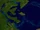 2022 Solunire Hurricane Season