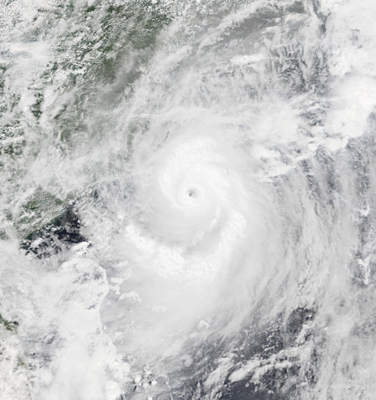 Hurricane Gert (Beast) Hypothetical Hurricanes Wiki Fandom