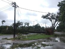 1024px-Tree and power line damage in Parap