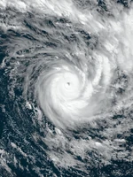 Niko 2031 sim (Sierra)