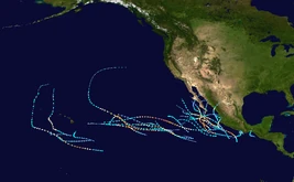 No alt text available for this image