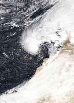 Quella 2020 Doglantic