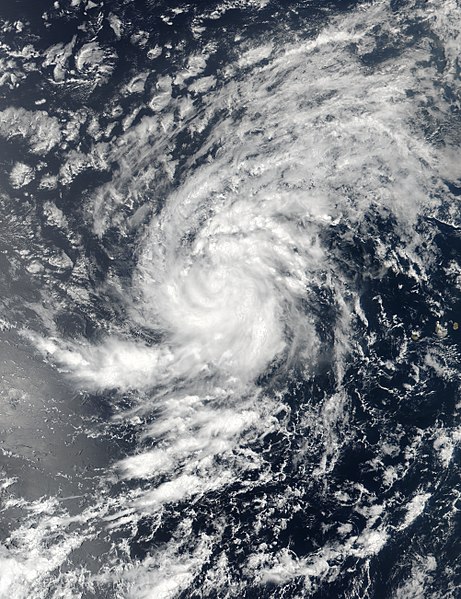 Tropical Storm Brody Hypothetical Hurricanes Wiki Fandom