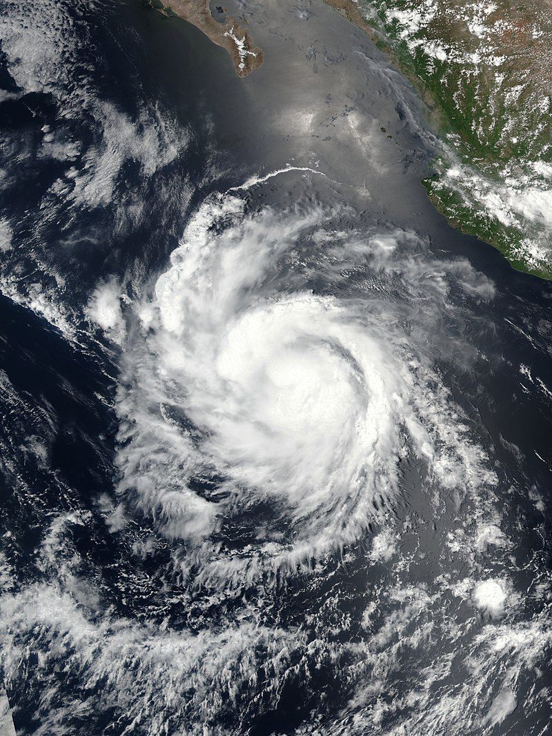 2019 Pacific hurricane season (Farm's Average Version) Hypothetical