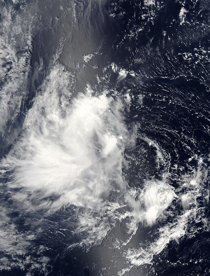 2024 Hypothetical Typhoon Season Hypothetical Hurricanes Wiki Fandom