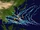 2021 Philippine basin typhoon season