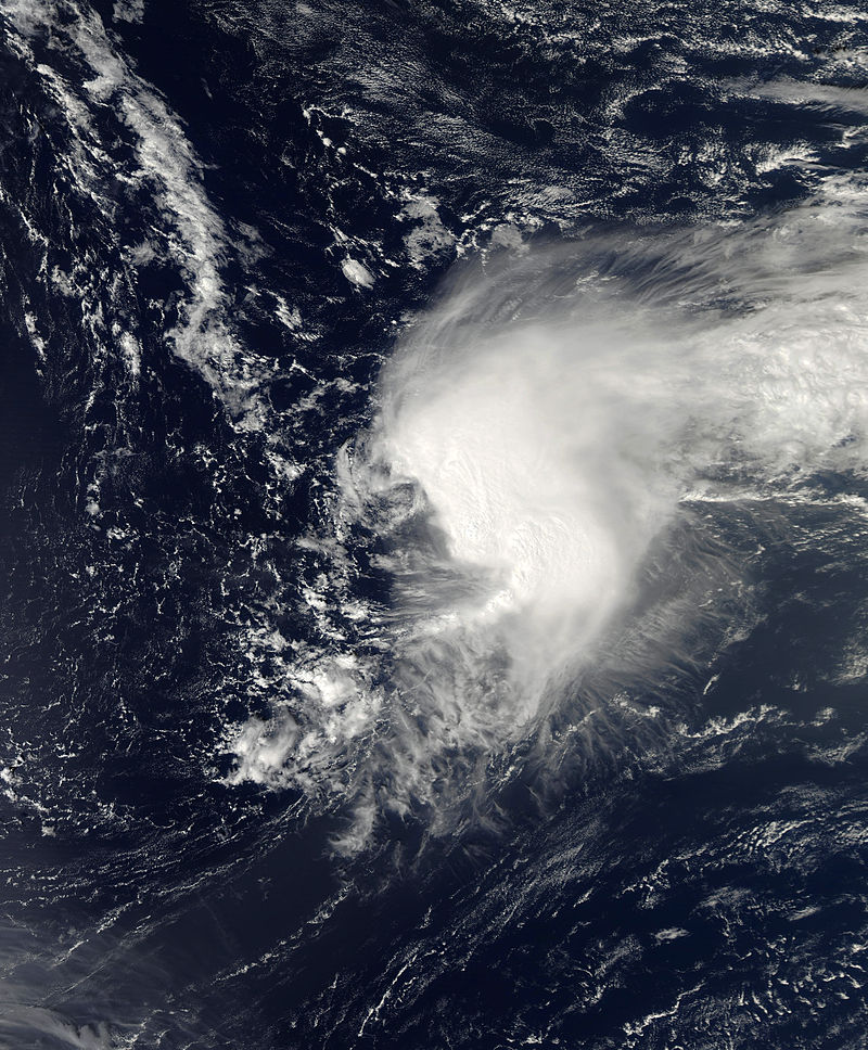 2024 North Atlantic Hurricane Season (SAMP) Hypothetical Hurricanes