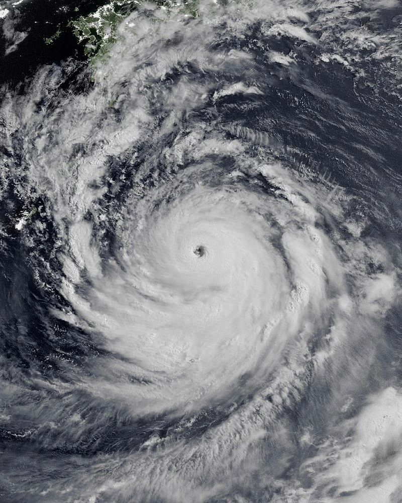 Autumn visual data 2