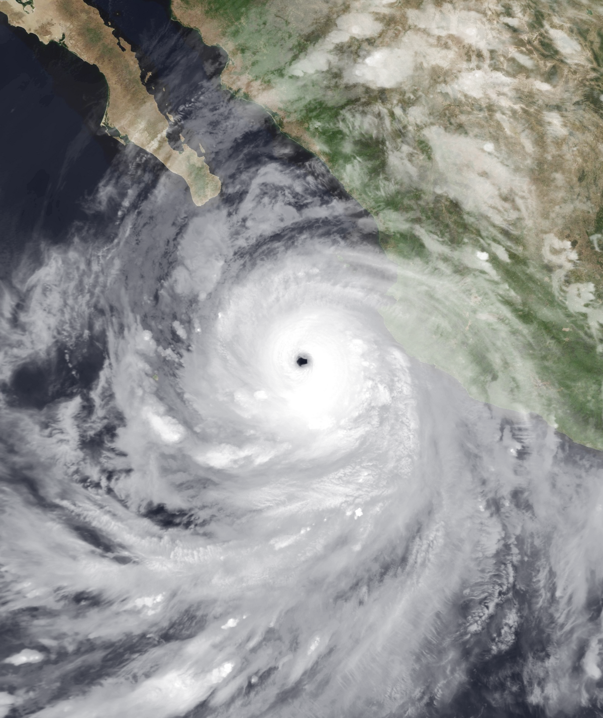 Hurricane Linda Hypothetical Hurricanes Wiki Fandom