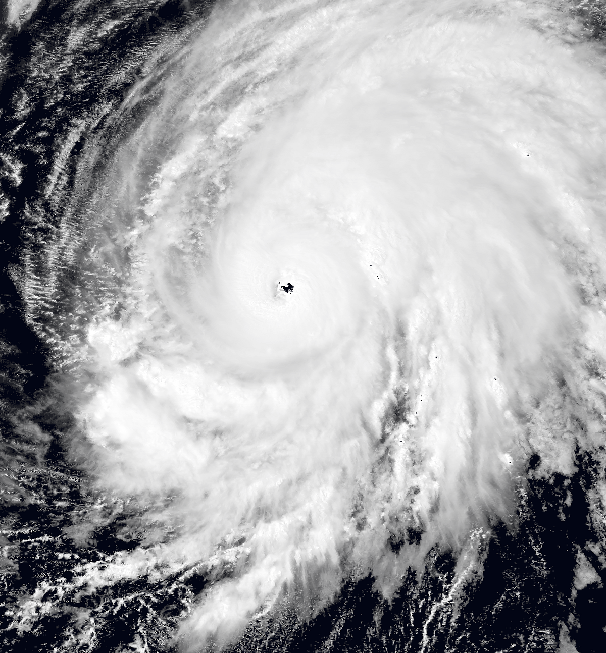 Hurricane Melissa (2025) Hypothetical Hurricanes Wiki Fandom