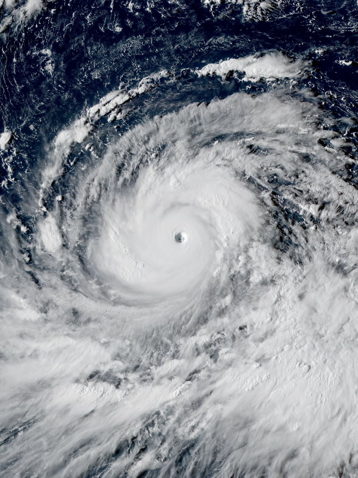 2025 Pacific typhoon season (Cjmonit) Hypothetical Hurricanes Wiki