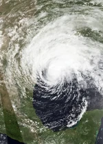 Xander 2020 Doglantic