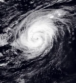 Elena MC 2020-CycloneMC