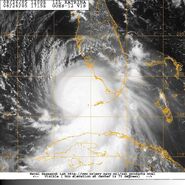 US Navy 050826-N-0000W-001 Satellite imagery showing the anticipated track of Hurricane Katrina. The storm crossed South Florida Thursday and headed back to sea in the Gulf of Mexico