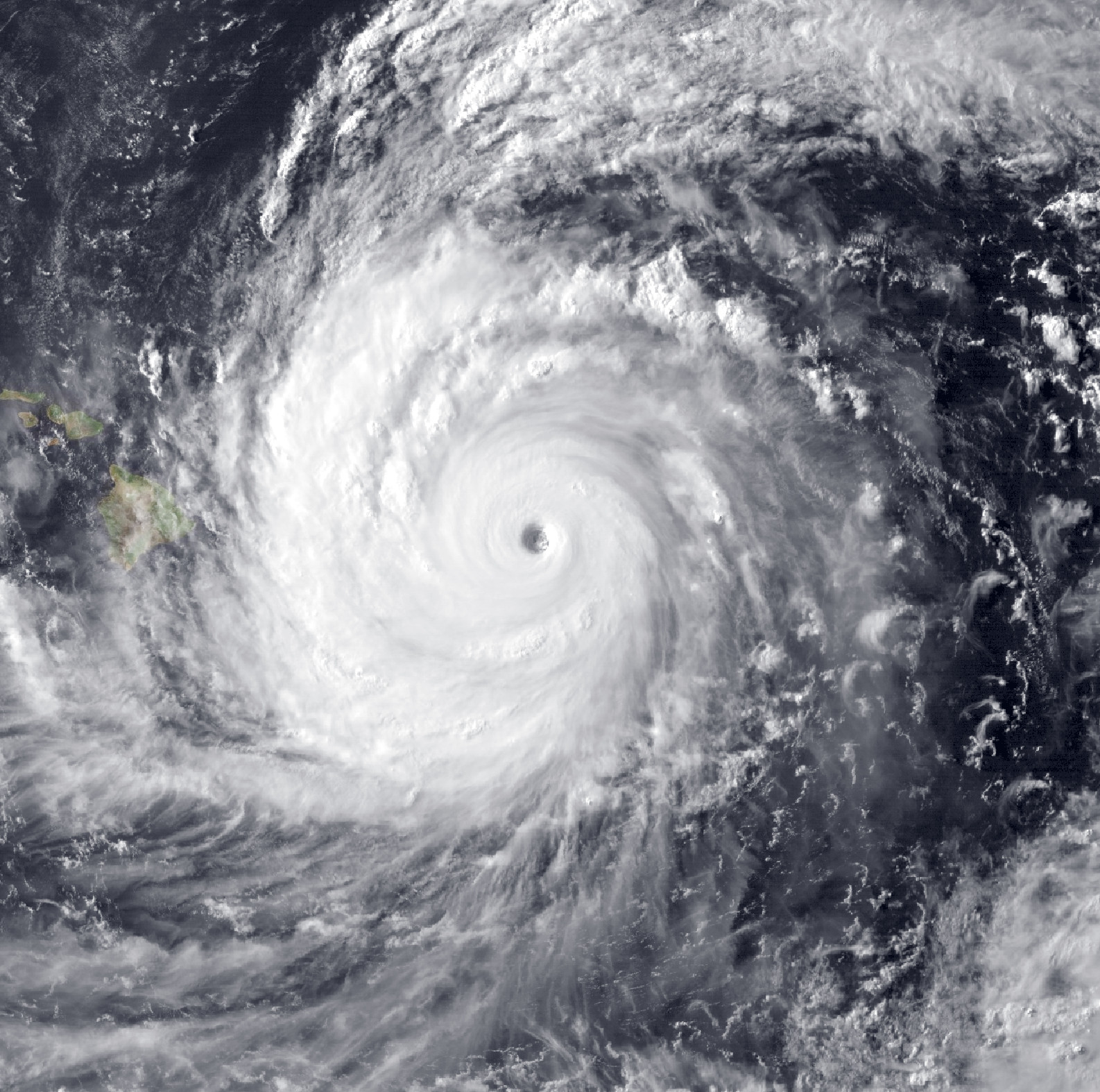 HURRICANE ホロサイト553 4NYRRQPFTRBH3LSLTWGINO6ULA.jpg