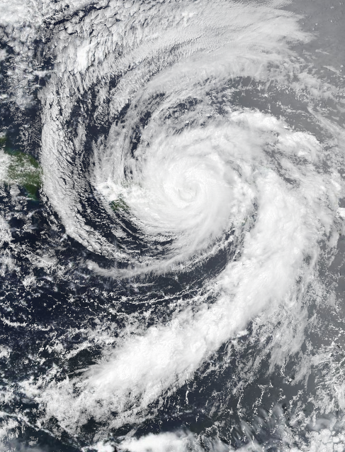 Hurricane Danny a major hurricane; expected to weaken