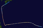 Dolphin 2026 track Cocosnutcenter