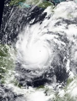 Linus2020PlanetPuppy