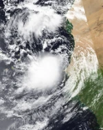 Xenos2020PlanetPuppy