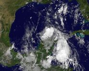 Tropical Storm Don (2011) - Formation