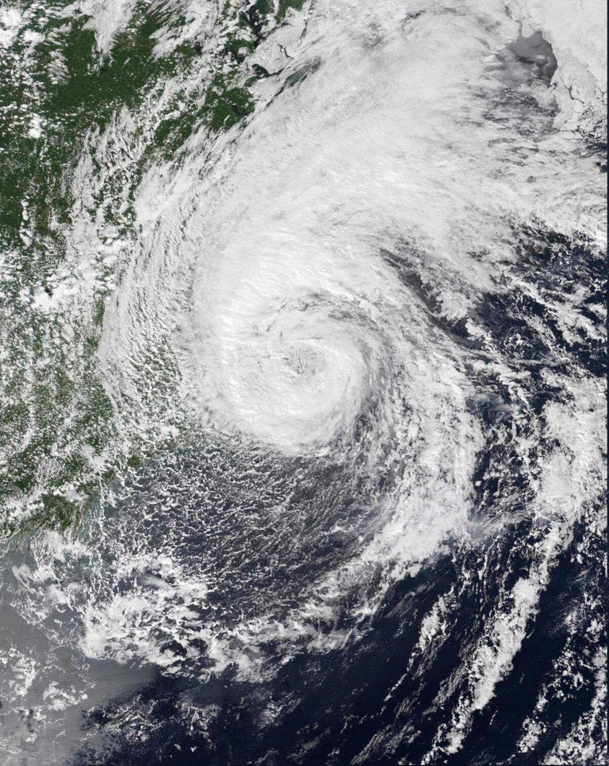 Subtropical Storm Andrea(2025) Hypothetical Hurricanes Wiki Fandom