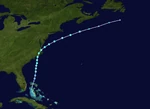 Yara2020PlanetPuppytrack