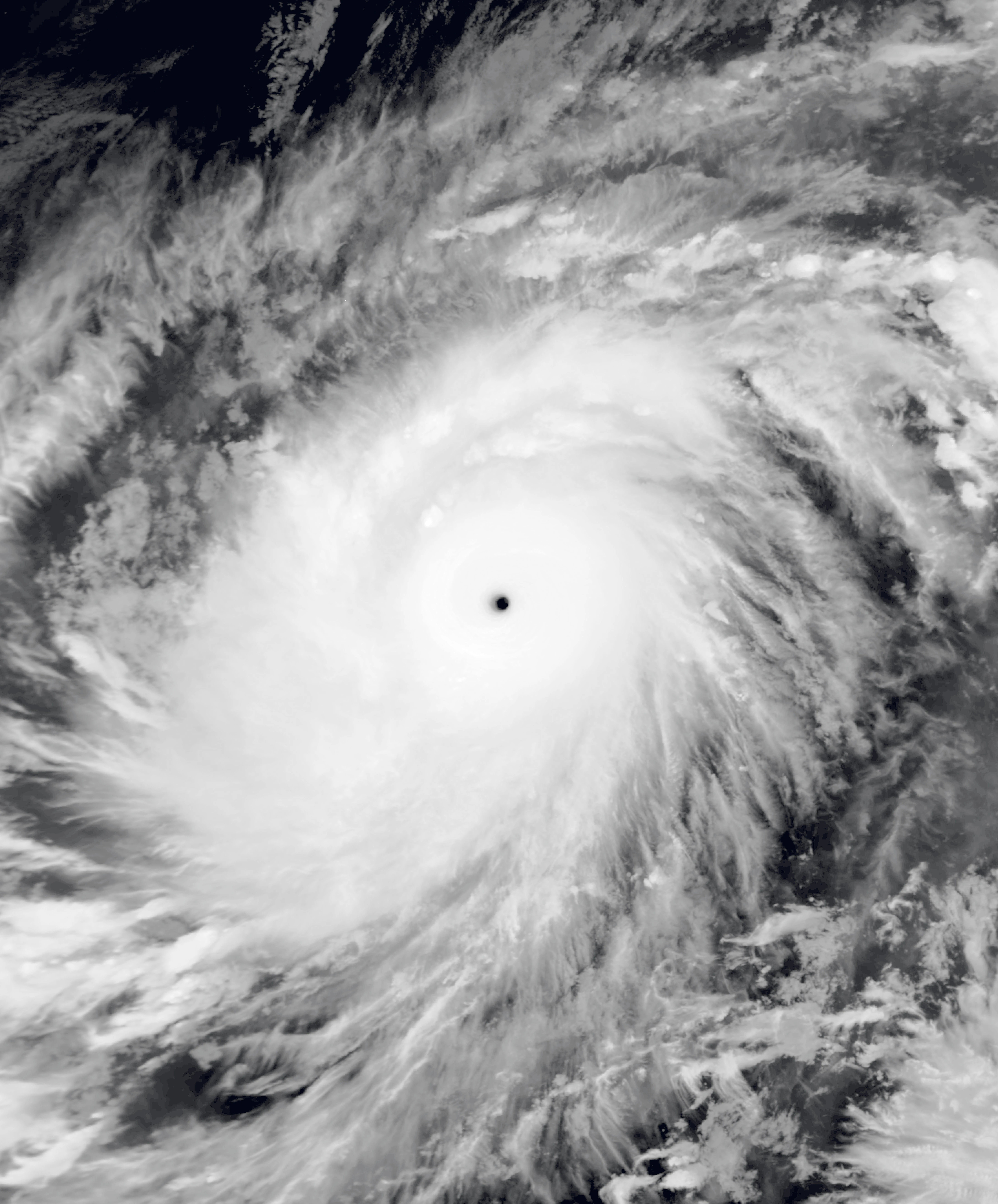 Hurricane Genevieve | Hypothetical Hurricanes Wiki | Fandom