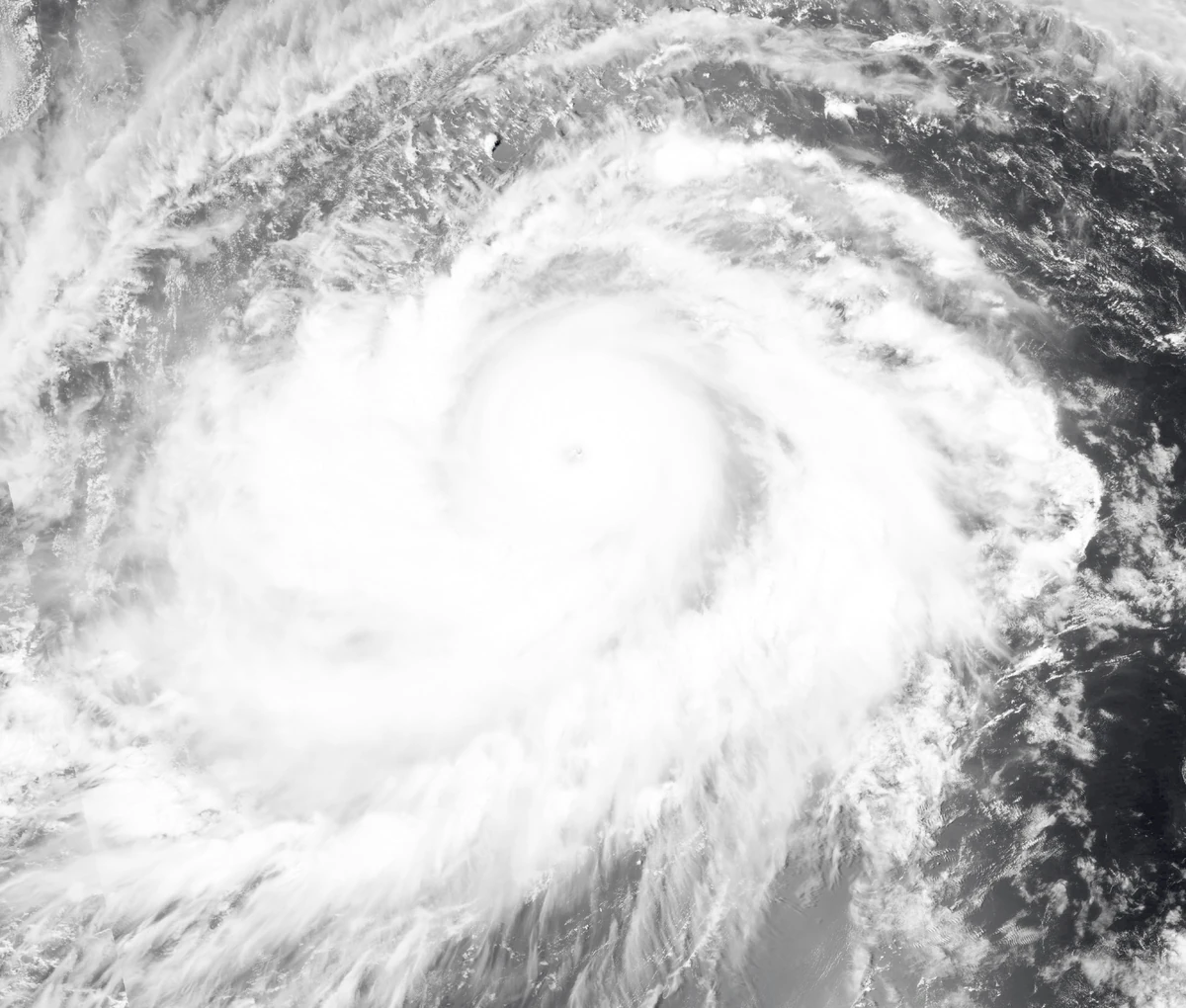 Typhoon Jongdari (2024) Hypothetical Hurricanes Wiki Fandom