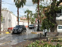 Damage in Madeira, photographed on August 11.