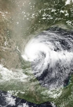 Logan 2020 Doglantic