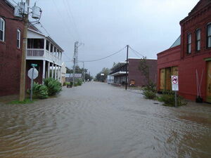 Heavy rain, tropical storm winds from Idalia pelt Bulloch