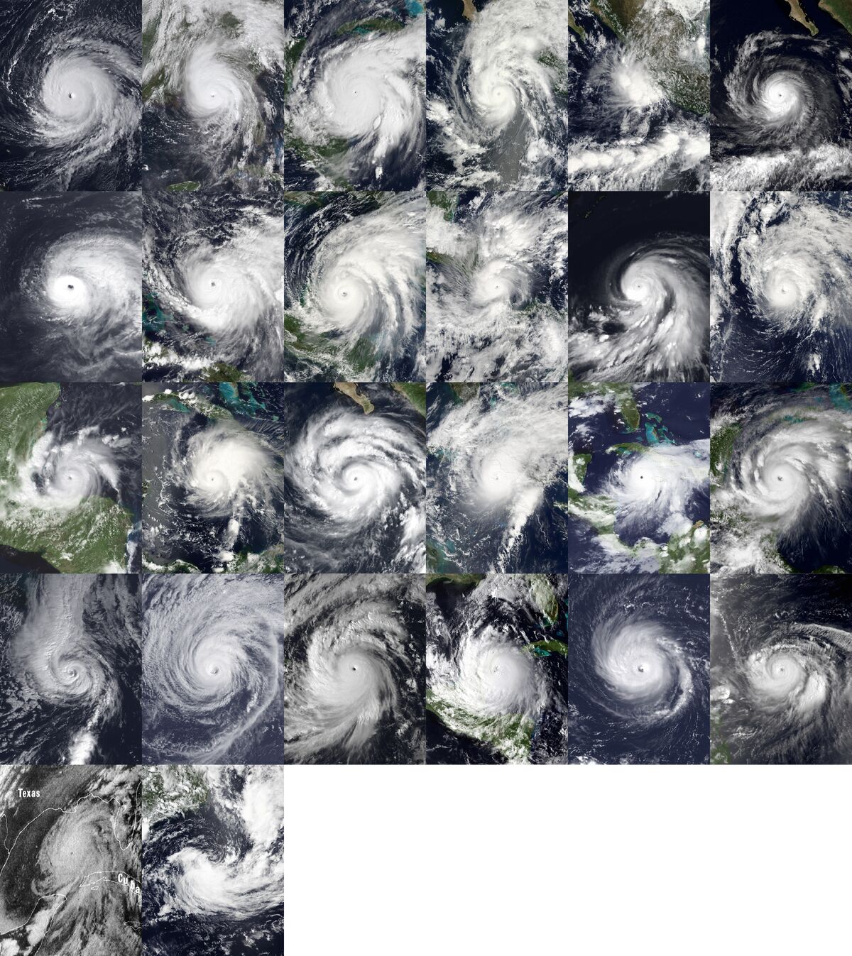 Hurricane Idol | Hypothetical Hurricanes Wiki | Fandom