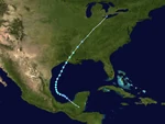 Robert2020PlanetPuppytrack