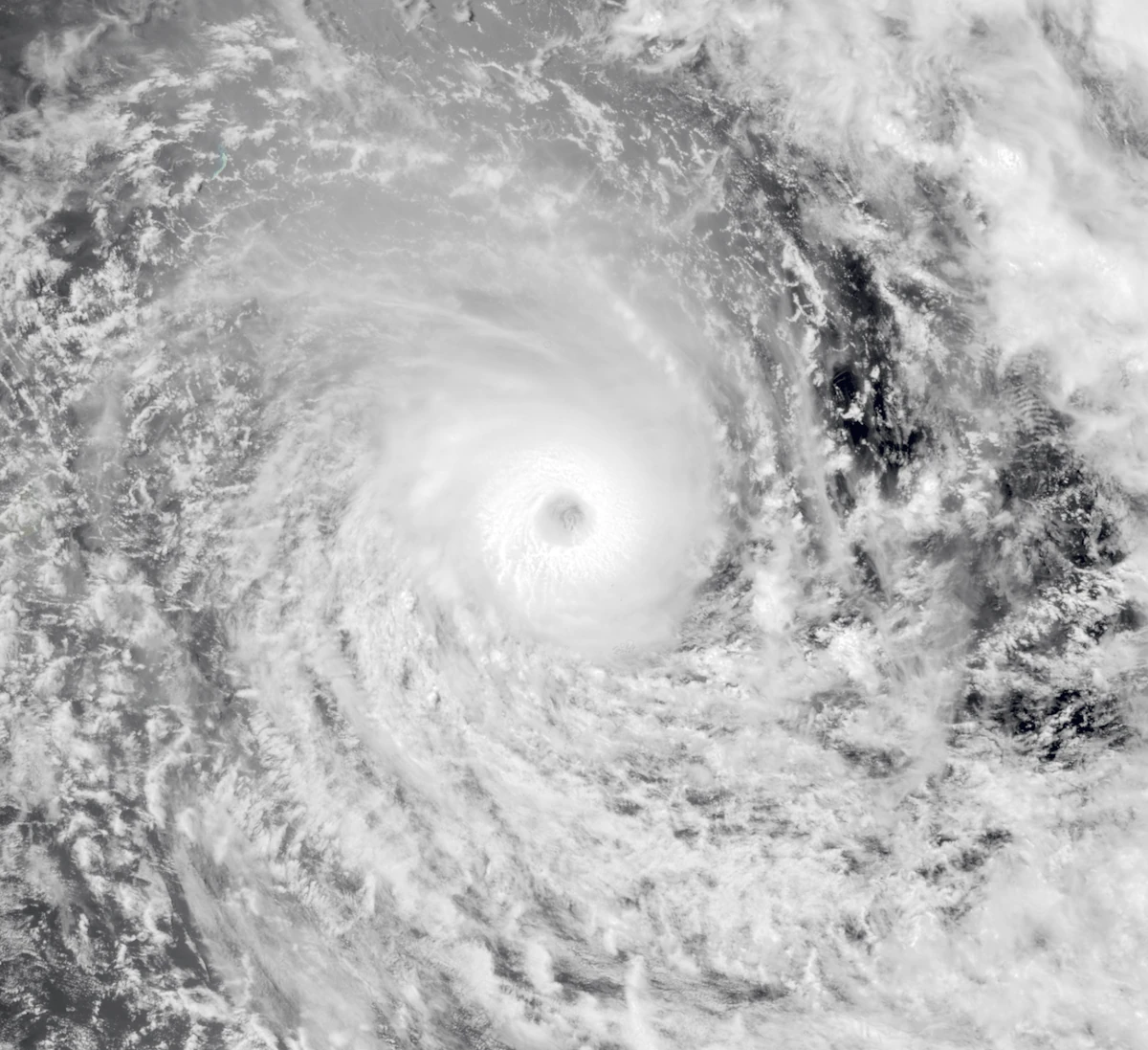 Cyclone Cheneso (Zeta) Hypothetical Hurricanes Wiki Fandom