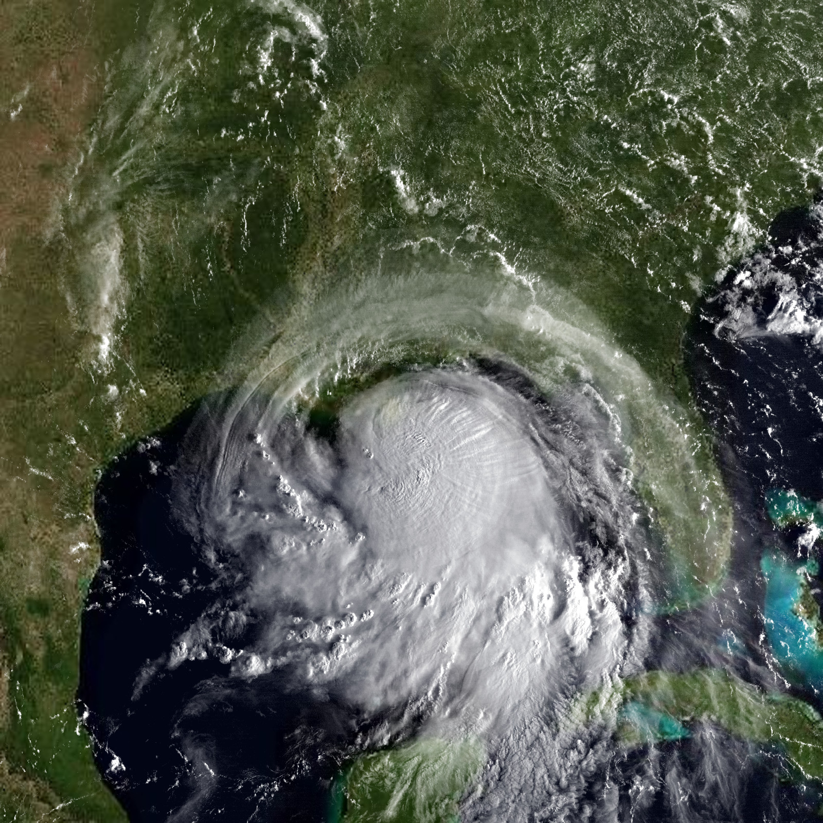 22 Atlantic Hurricane Season Roy S Version Hypothetical Hurricanes Wiki Fandom