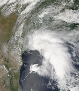 Tropical Storm Allison- Peak